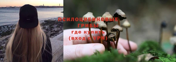 2c-b Верхний Тагил