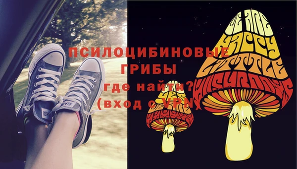 2c-b Верхний Тагил